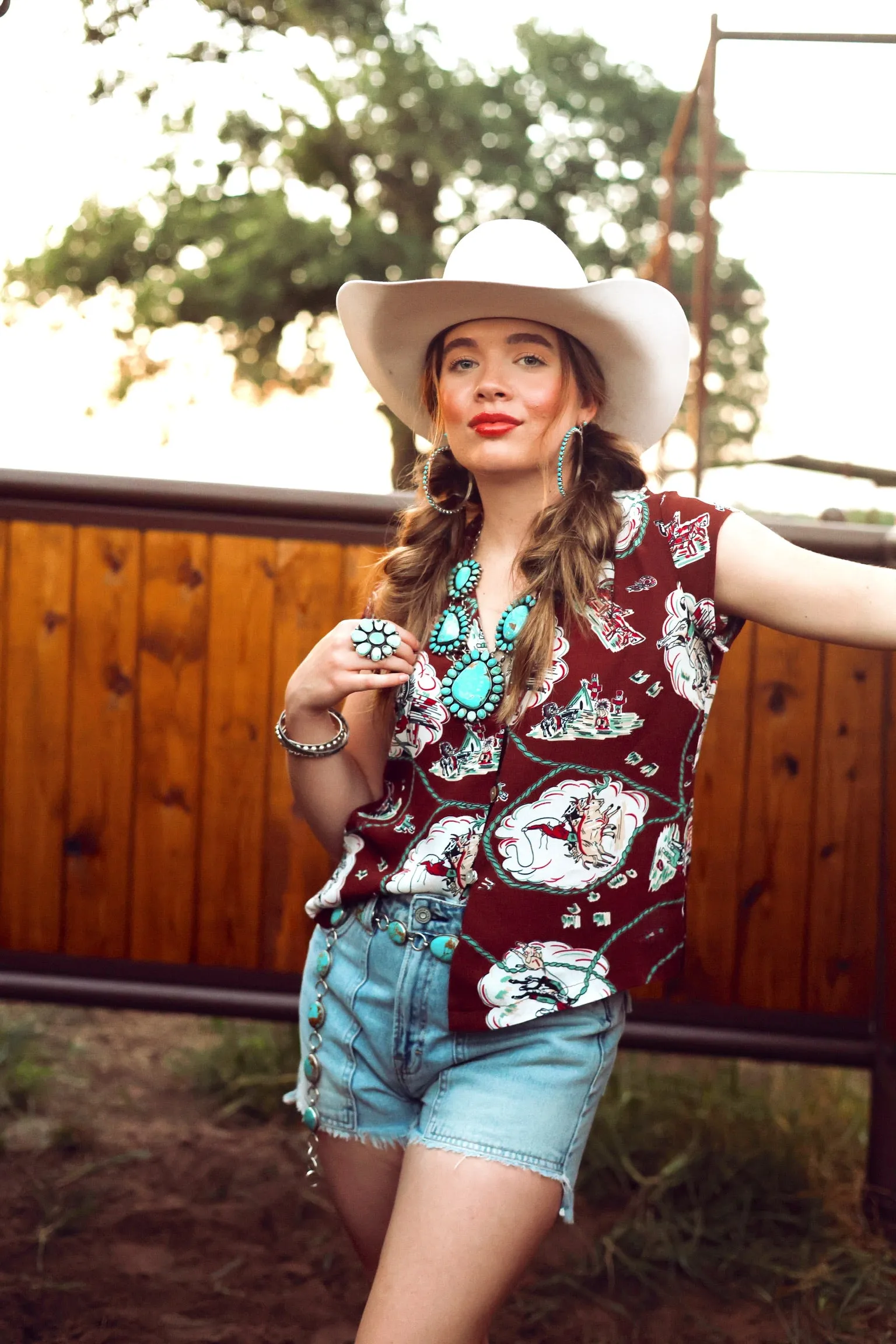 The Western Horizon Short Sleeve Top