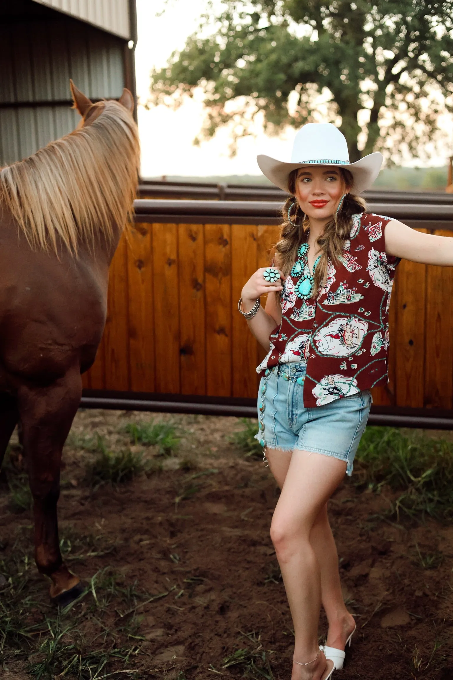 The Western Horizon Short Sleeve Top
